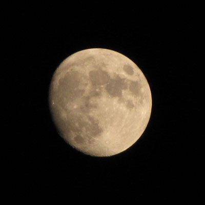 �r�w�P�O�̌�