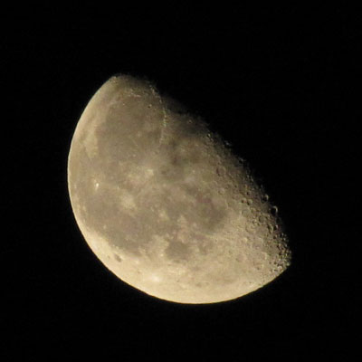 �r�w�Q�O�̌�