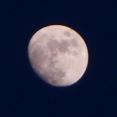 �J�V�I�̌��͕�