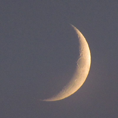 ��������r�w�R�O�̌�