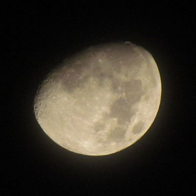 �����ڂ���