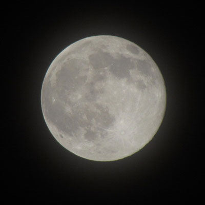 �����̓��͓܂�