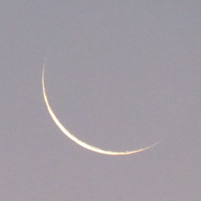 ����Q�W�D�P