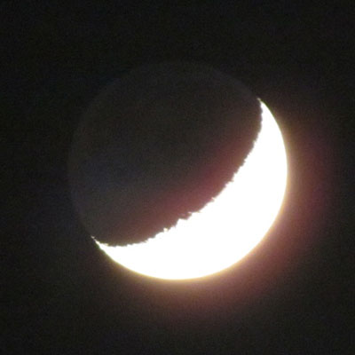 �p���c�����Ă錎