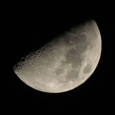 ���������㌷