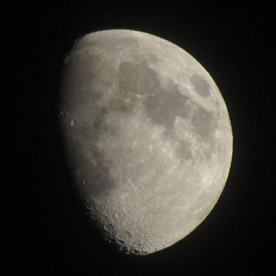 �Ղ�����