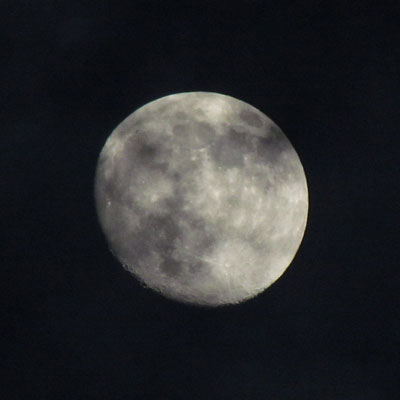 �Ȃ񂩏o�����Ȍ�