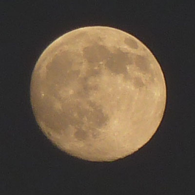 �[���S�����̐Ԃ���