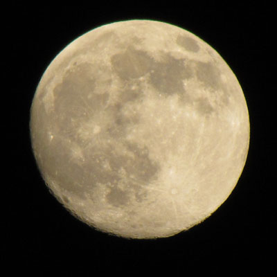 �R�O���ŐԂ݂����܂�