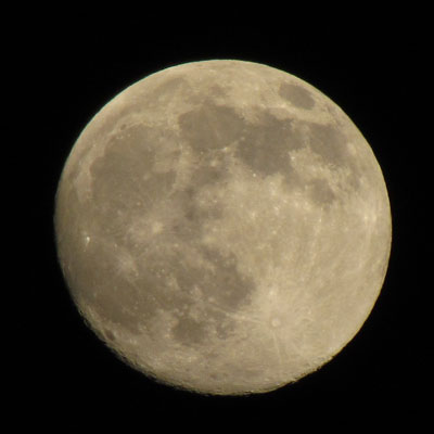 ���X�Ɋ�F�������Ȃ�