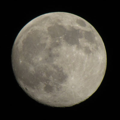 ����������߂�