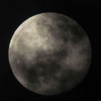 �����͓܂邱�ƂɂȂ��Ă���