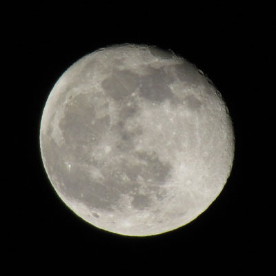 �����ɑ����n�߂�