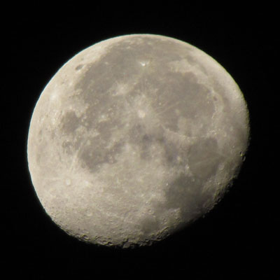 ���͂��ꂢ