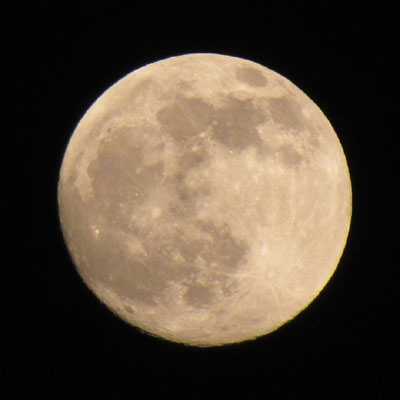 ���悢�悠�����͊F�����H