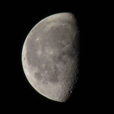 ���͌������������ꂢ