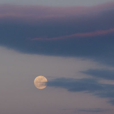 �s�y�P�O�̗[������