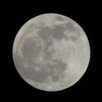 �����͂̂��؂�