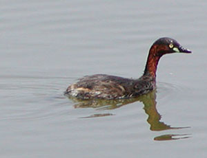 ������J�C�c�u��