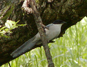 �Â����ǃI�i�K