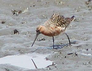 �{�P�I�I�\���n�V�V�M