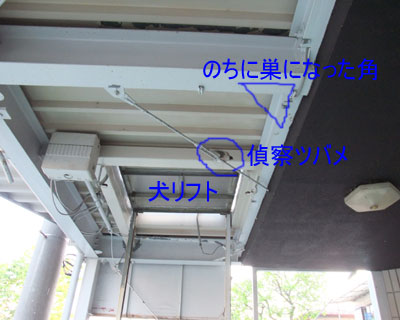 ���̌�A���x���Ԍɂƌ��֑O�����w�ɗ���