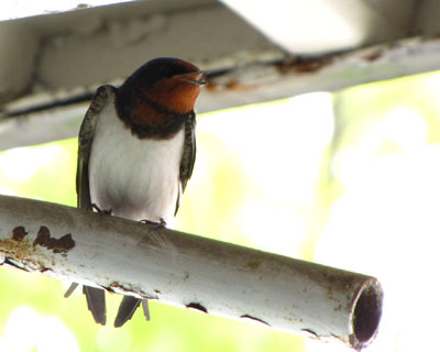 ���x������