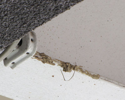 ���֑O�ɂ�����ƓD��