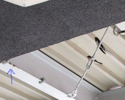 �D�̂�����Ȃ��߂�H