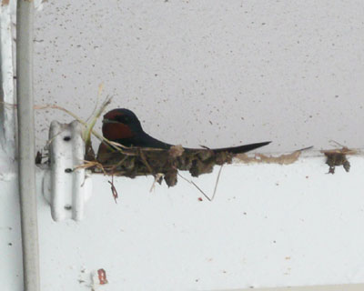 �����A�����D��������