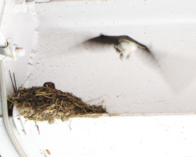 ����ւ�藧���ւ��