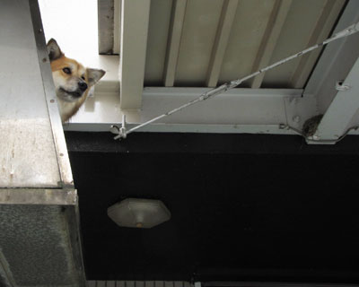 ���̎��Ԃ́A���̑O�������ʉ߂��邩��