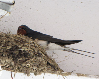 ����ɖ߂��đ����`�F�b�N