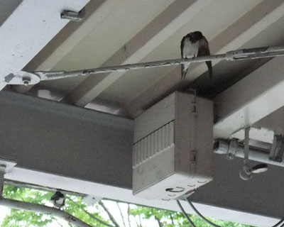 �ߌ�U���A���낻��Q�鏀���H