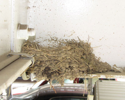 �P�S�����A���璆�ɐ^������B�e