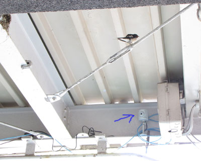 �ݒu�H�����ɂ����̖_�Ɏ~�܂낤�Ƃ���