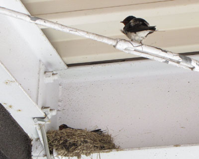 ���傤�͑��ɂ��鎞�Ԃ�����