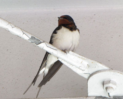 ��������J�n