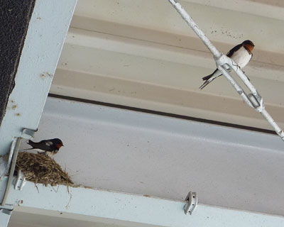 �΂����Ƃ��ǂ����ɍs�����A���w����