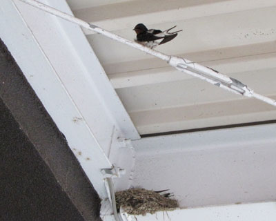 �����J�n�����H