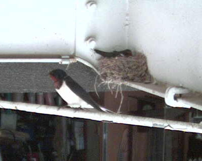 �T���Q�O���A���傤�����������