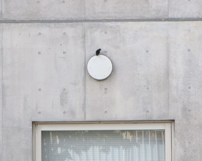 �������̕ǂɂւ΂�����c�o�q