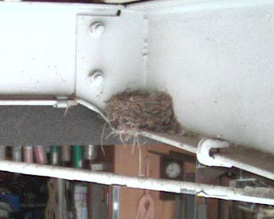 �ߌ�A�J����񂾂炵�΂炭����ɂȂ���