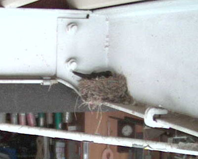 �����������߂Ă܂����Ȃ��Ȃ�