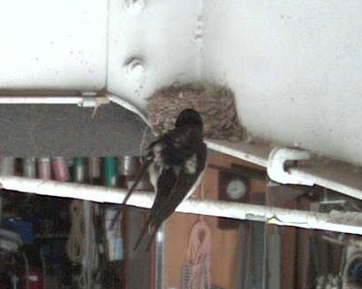 ����Ă�ԂɈ�C�H���H