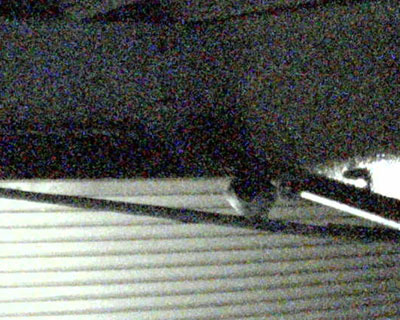 ��̂΂��c�q