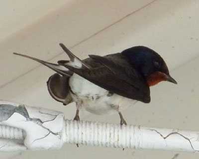 �������̒���