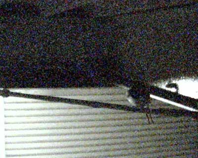 ��̂����ۂ����킢��