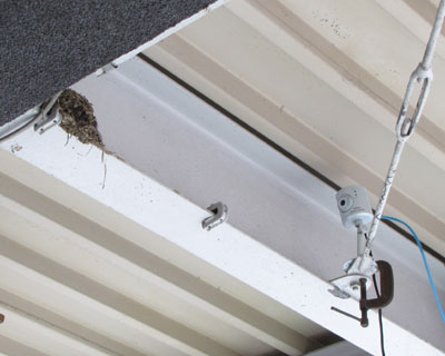 ���̏�A�J�����܂ňڐ�