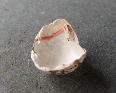 �����Ă��낢�k